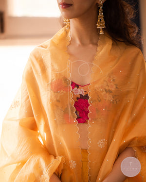 Afreen Odhanis
