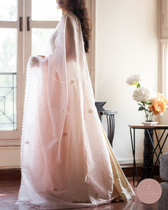 Afreen Jamia Organza Odhani (Light Pink)