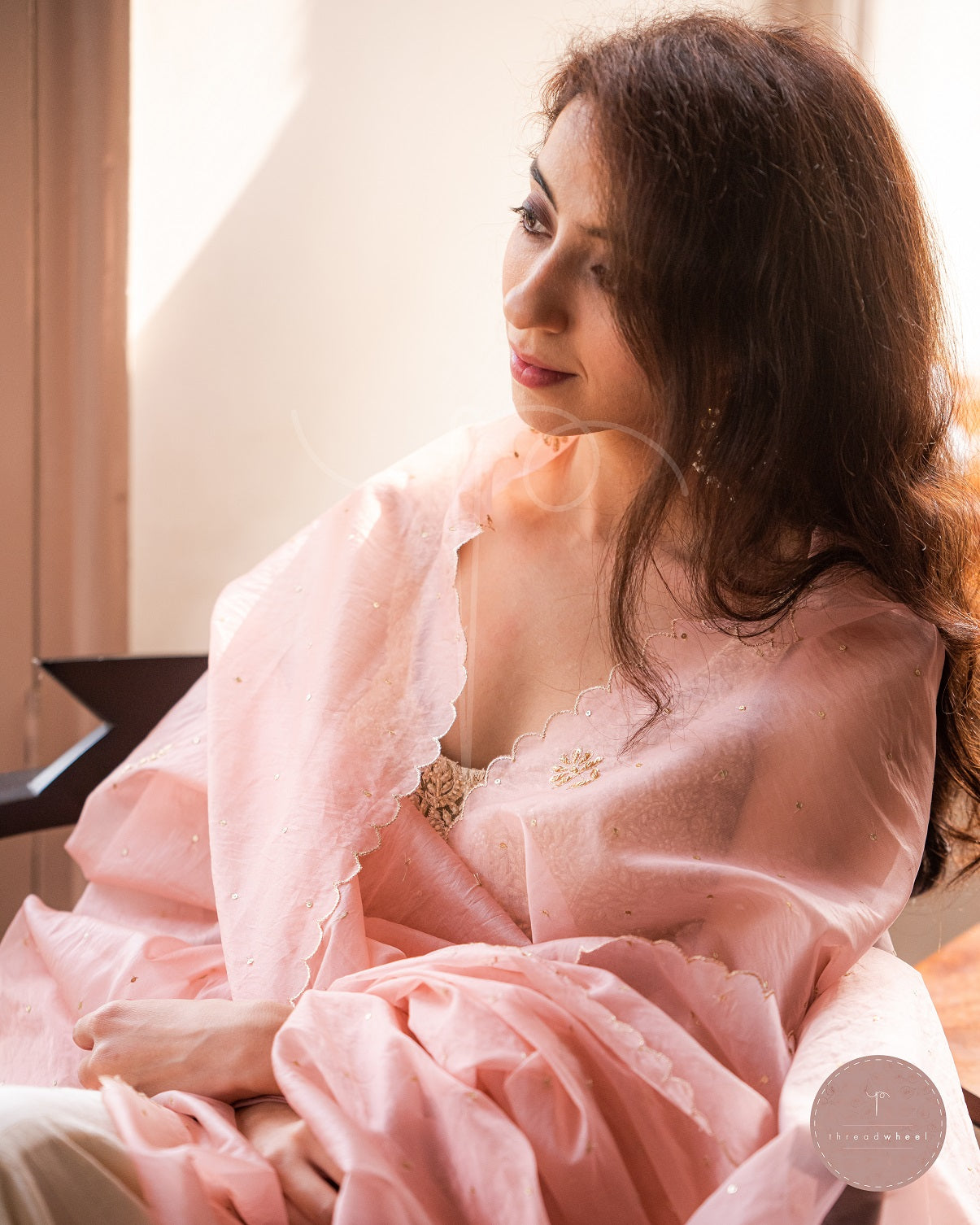 Afreen Jamia Organza Odhani (Mauve)